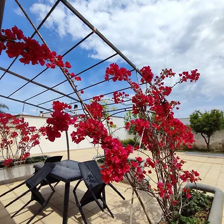 Canfora - Nuovissimo In Salento Erchie (Apulia)